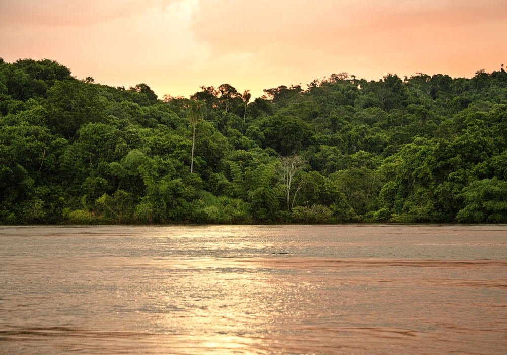 DAY - 10 EA NIBEPO AIKE- IGUAZU ( PUERTO BEMBERG)