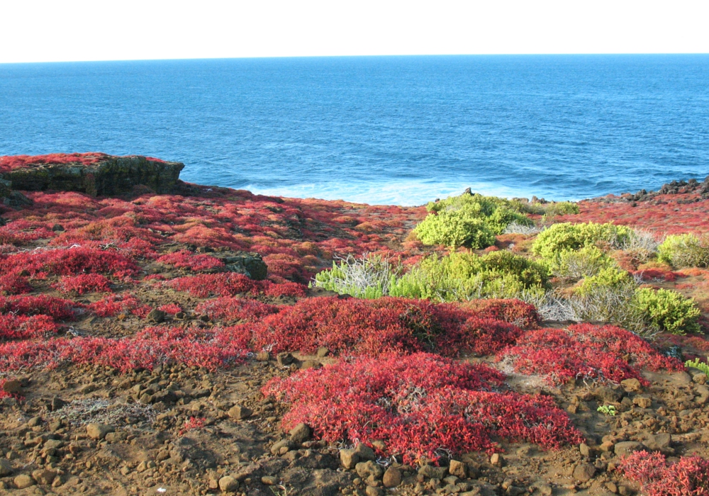 Day 10 - Galapagos