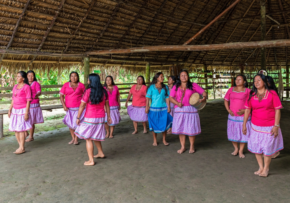 Day 10 - Jungle Lodge Activities