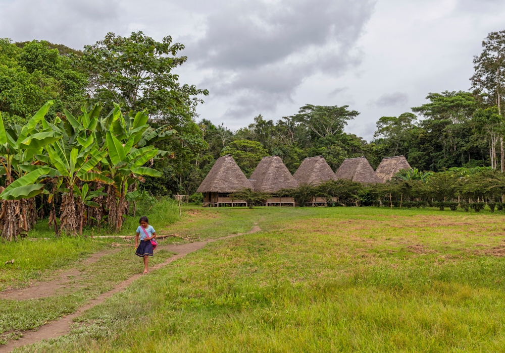 Day 10 - Jungle Lodge Activities