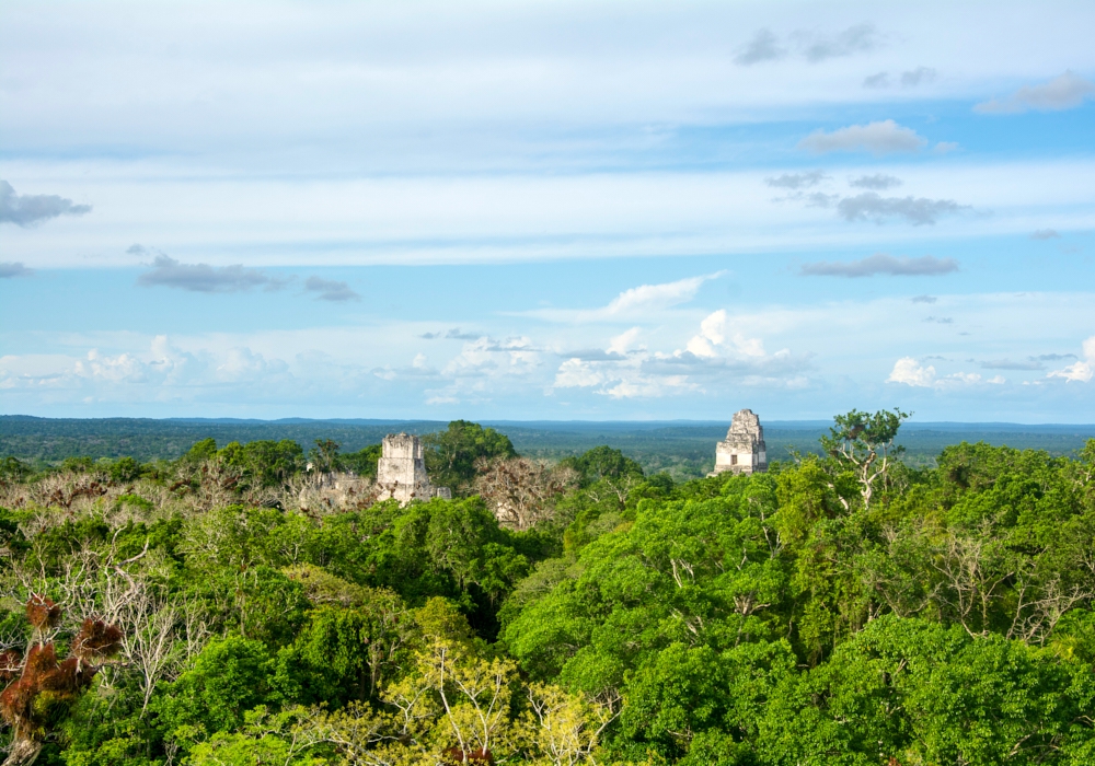 Day 10 - Las Guacamayas - Tikal