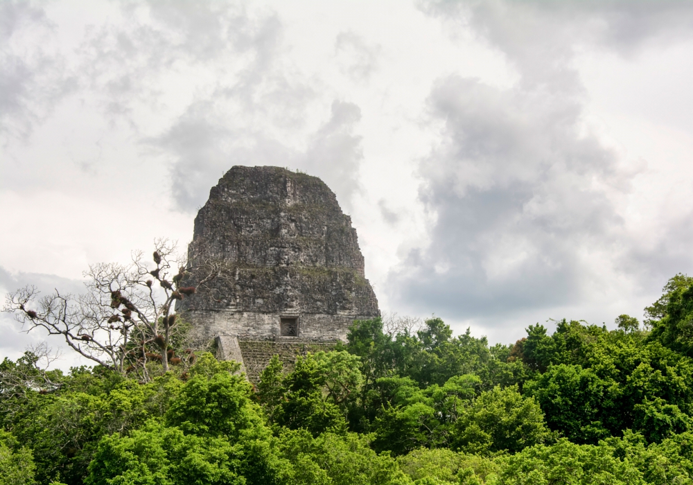 Day 10 - Las Guacamayas - Tikal