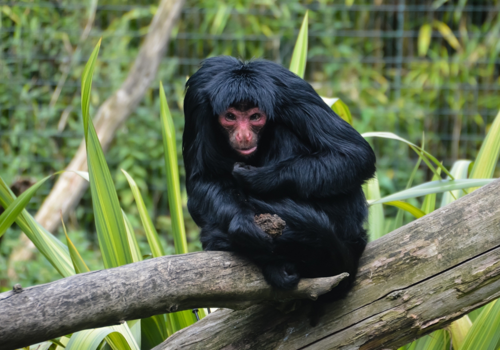 Day 10 - Madidi National Park