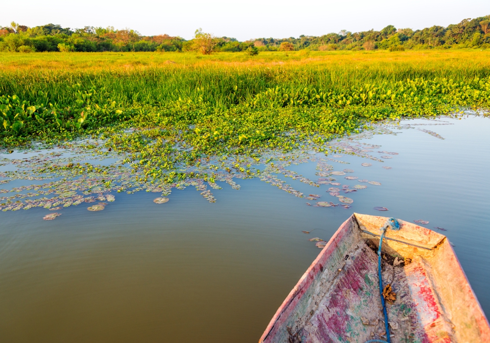 DAY 10 - MADIDI NATIONAL PARK