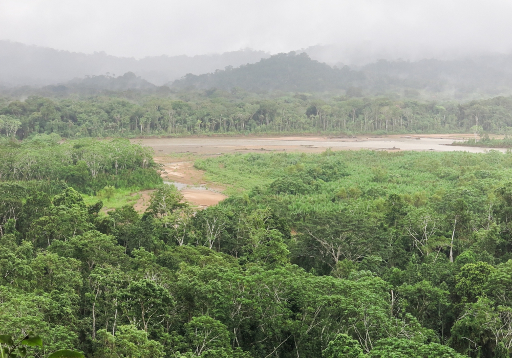 DAY 10 - MADIDI NATIONAL PARK