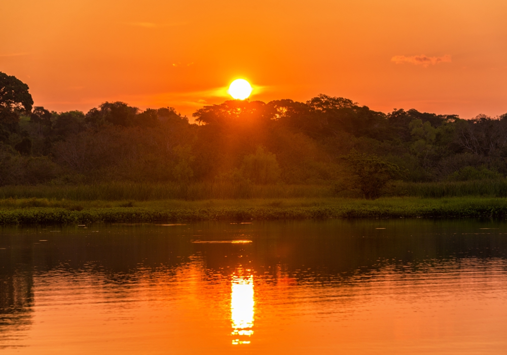 Day 10 - Madidi National Park