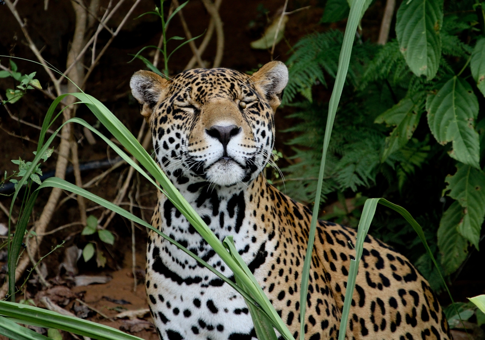 DAY 10 - MADIDI NATIONAL PARK