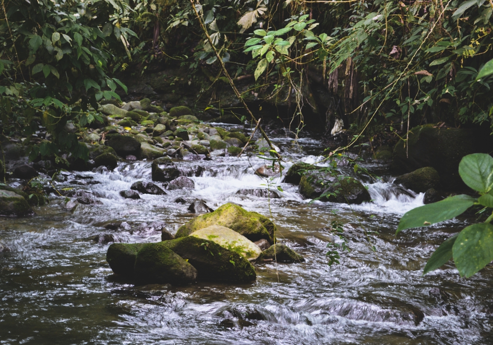 Day 10 - Manuel Antonio National Park