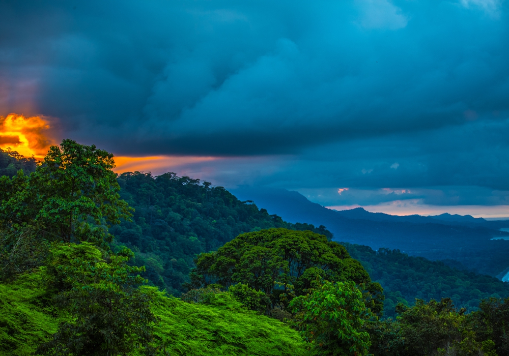 Day 10 - Manuel Antonio National Park