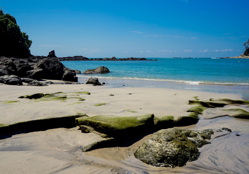 Day 10 - Manuel Antonio National Park