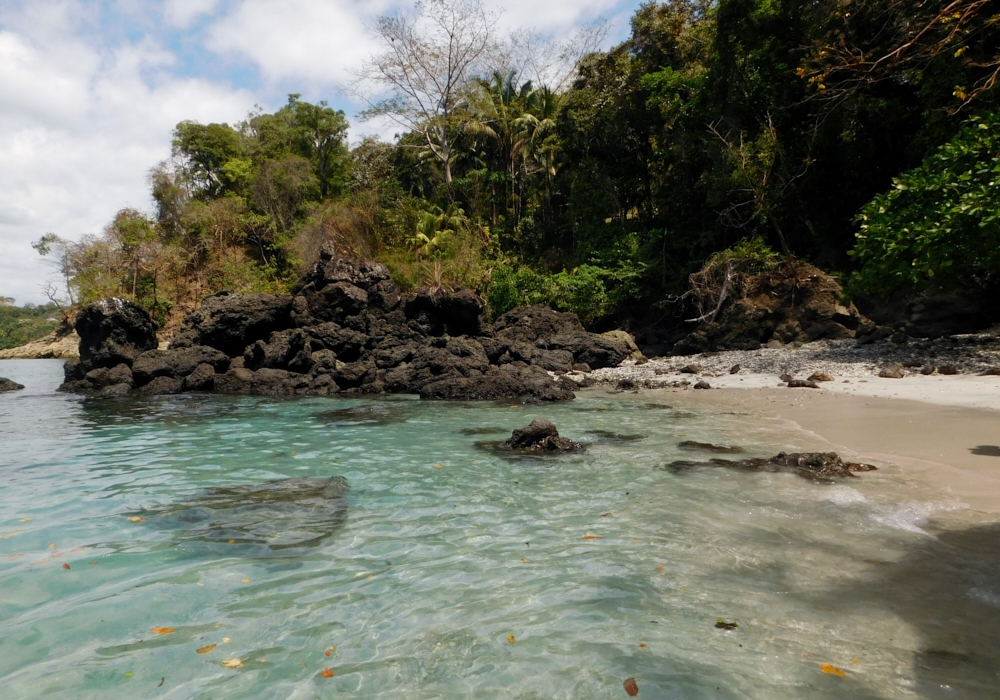 Day 10 - Manuel Antonio National Park