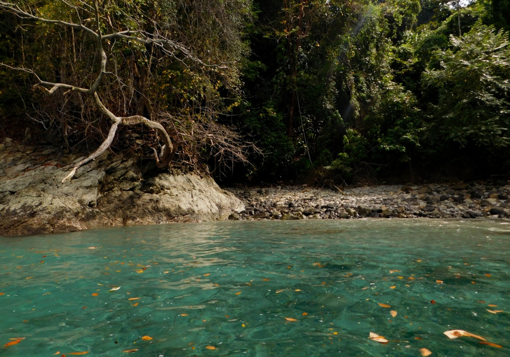 Day 10 - Manuel Antonio National Park