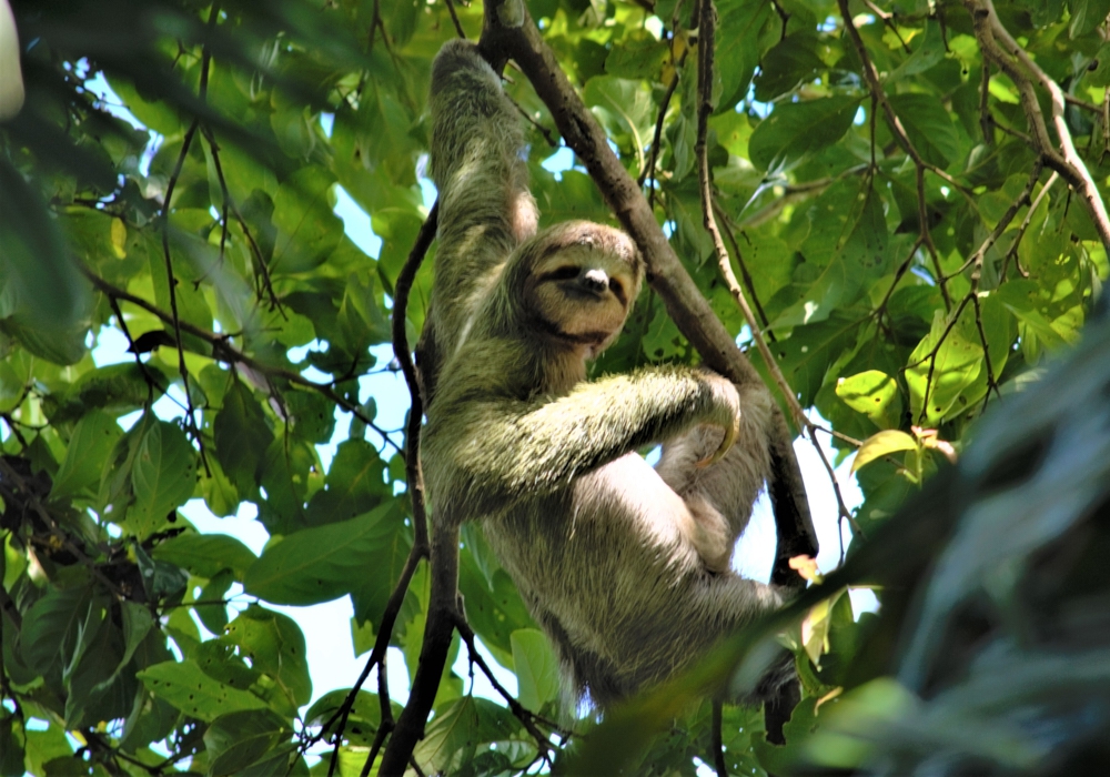 Day 10 - Manuel Antonio National Park