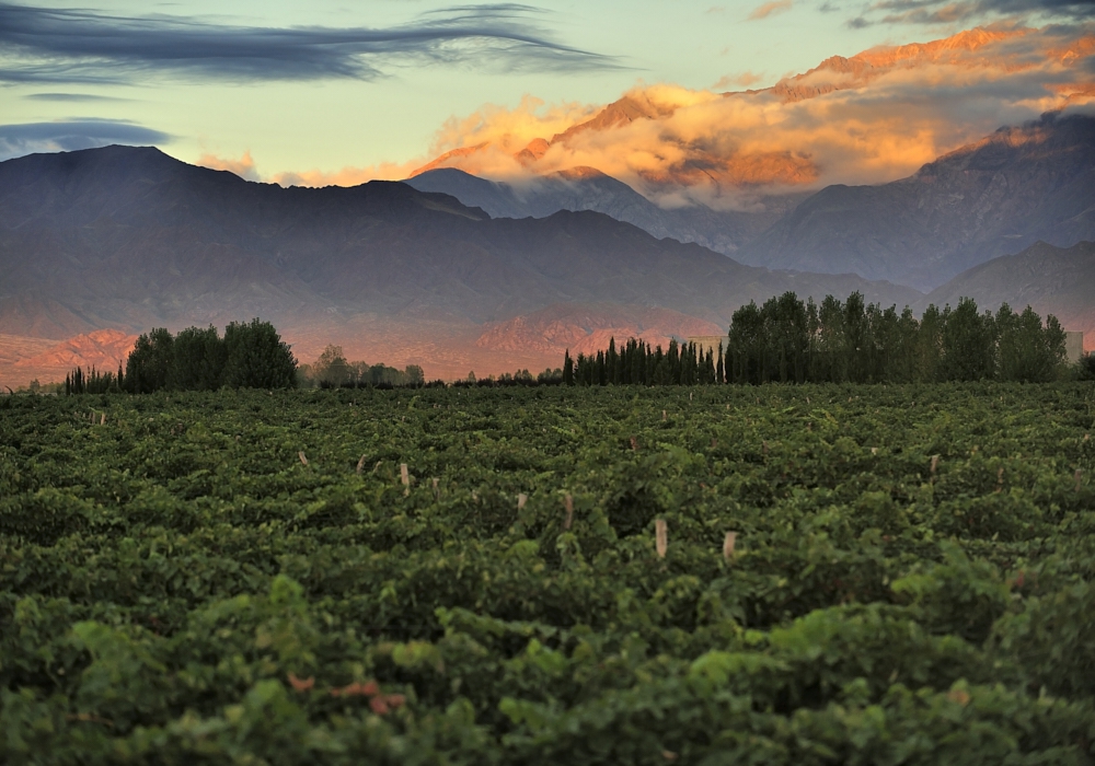 DAY 10 - MENDOZA