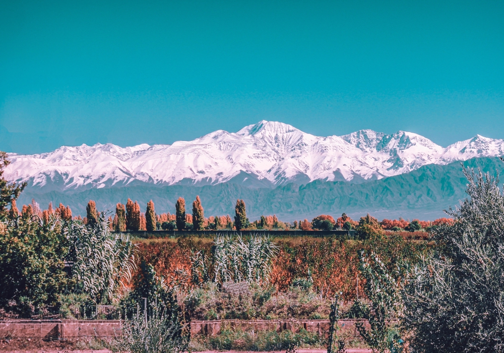 DAY 10 - MENDOZA