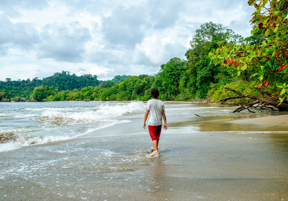 Day 10 - Upala - Papagayo