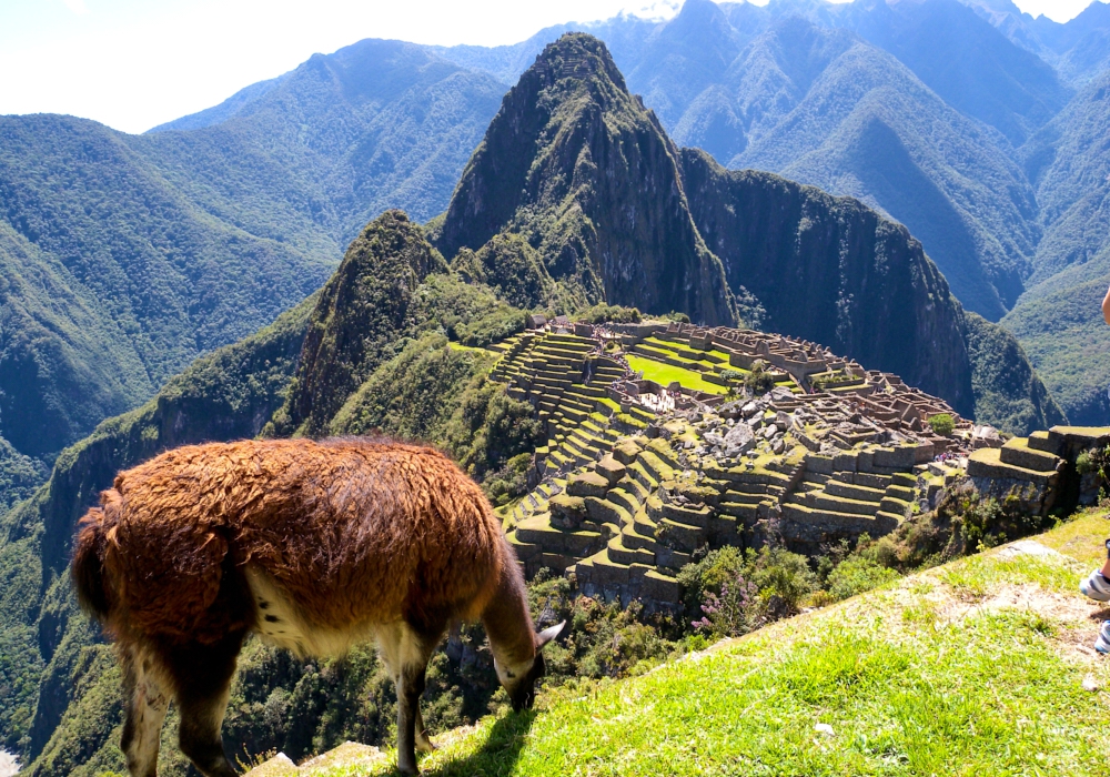 Day 11- Aguas Calientes – Cusco   Visit to Machu Picchu