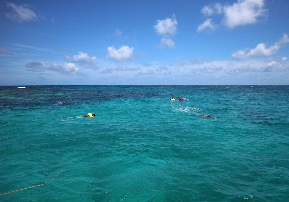 Day 11 -  Ambergris Caye -  Hol Chan Tour