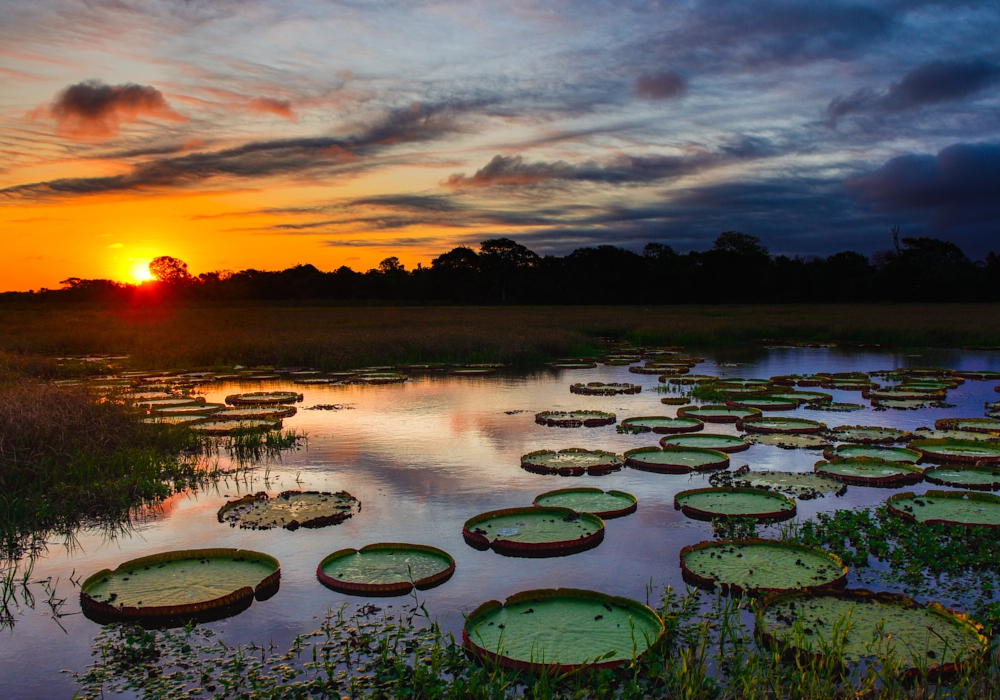 Day 11- Caiman Lodge