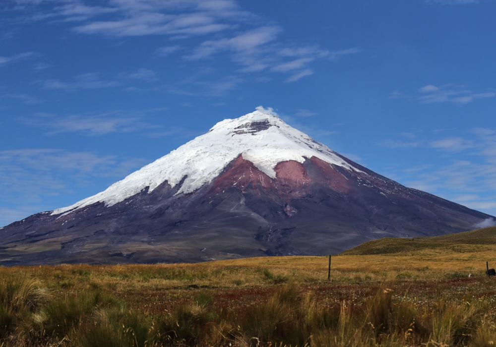 Day 11 - Cotopaxi National Park