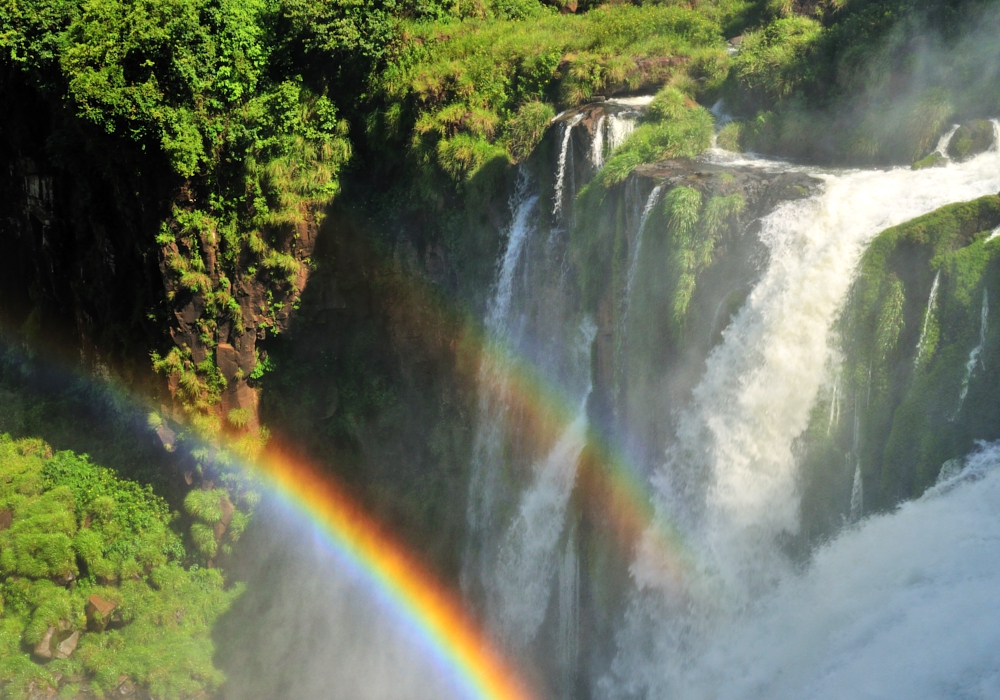 DAY 11 – IGUAZU NATIONAL PARK- Brazilian side