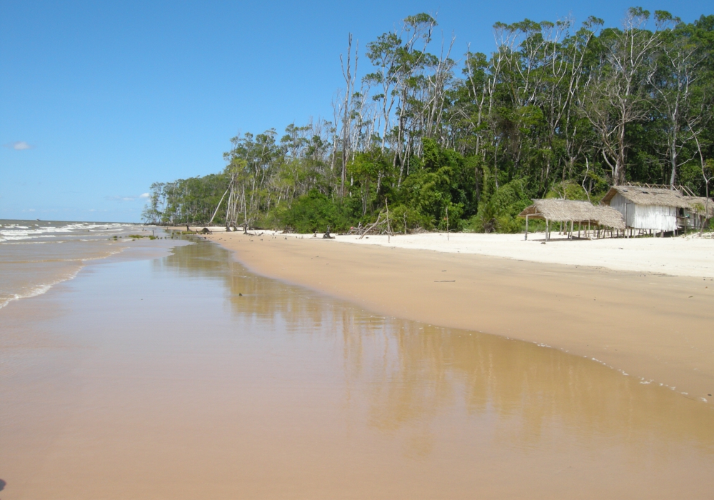 Day 11- Ilha de Marajó