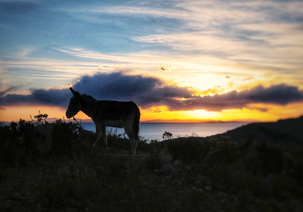 DAY 11 - ISLAND OF THE SUN - LA PAZ