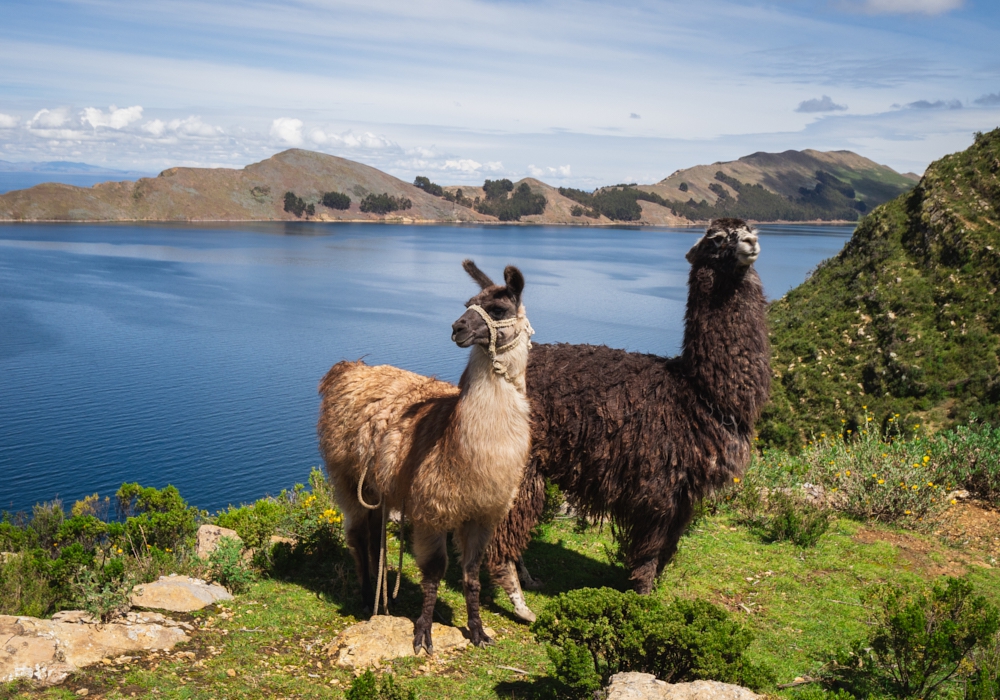 DAY 11 - ISLAND OF THE SUN - LA PAZ