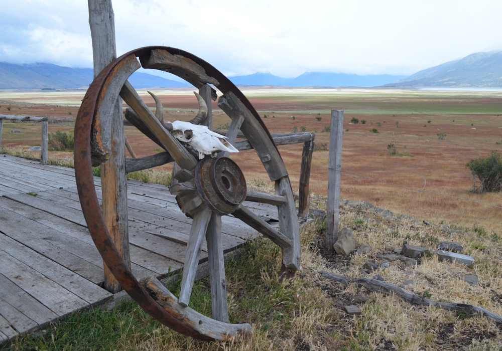 DAY 11 - LA ANGOSTURA ESTATE - CALAFATE