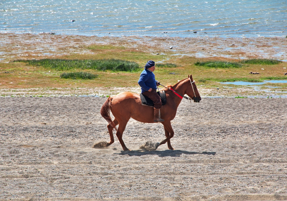 DAY 11 - LA ANGOSTURA ESTATE - CALAFATE