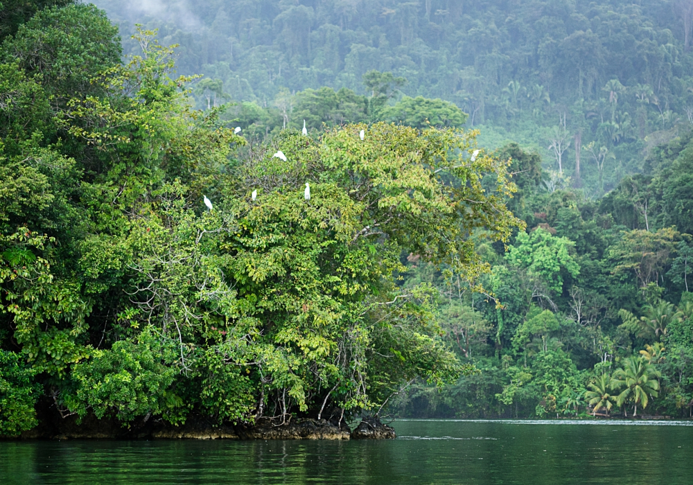 Day 11 - Lanquin - Rio Dulce