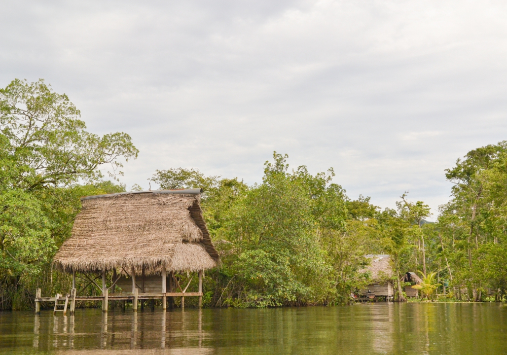 Day 11 - Lanquin - Rio Dulce