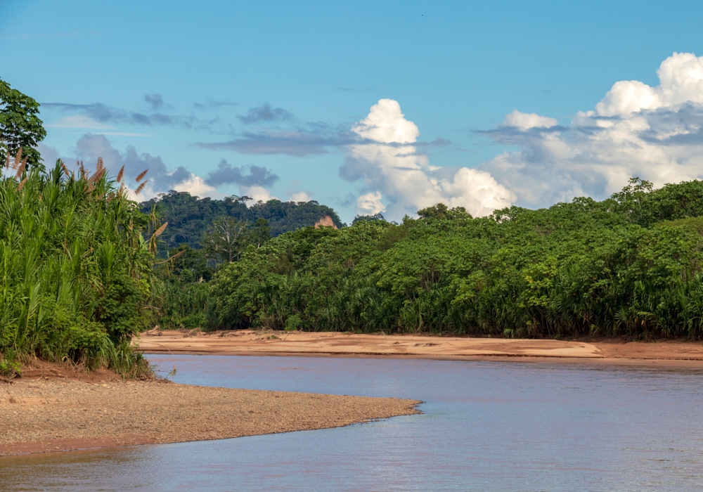 DAY 11 - MADIDI NATIONAL PARK