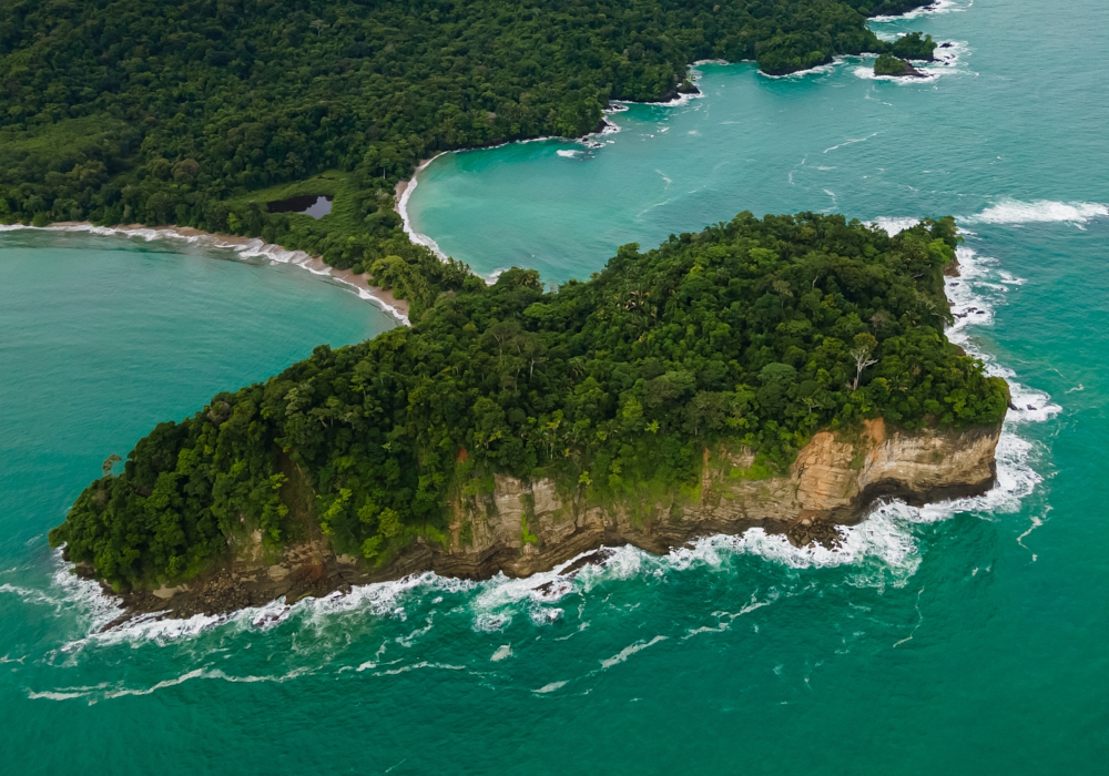 Day 11 - Manuel Antonio- San Jose