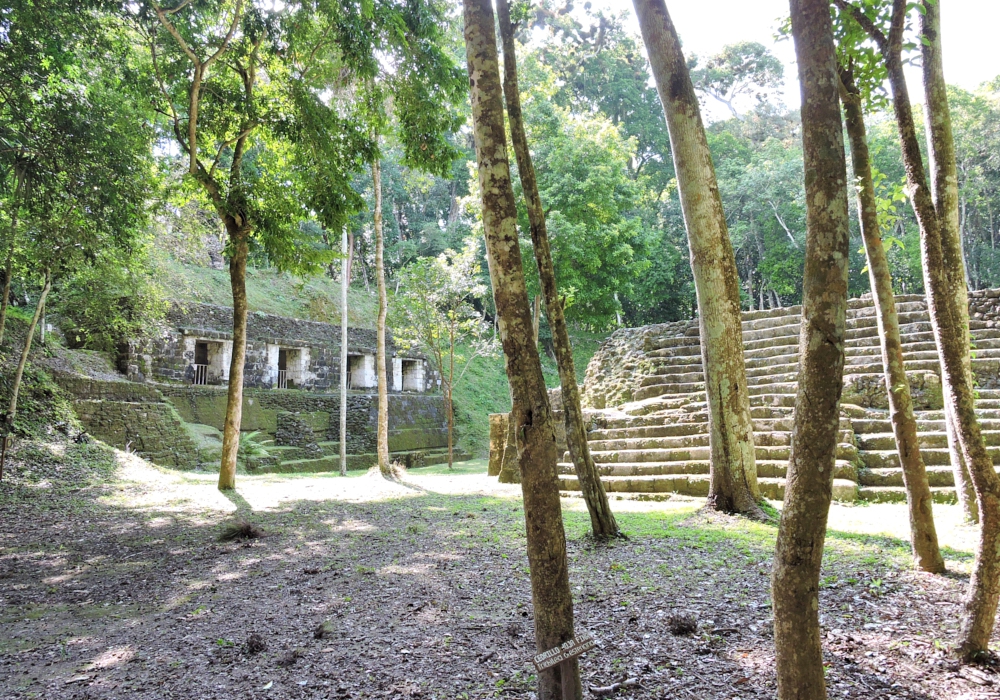 Day 11 - Yaxha national Park