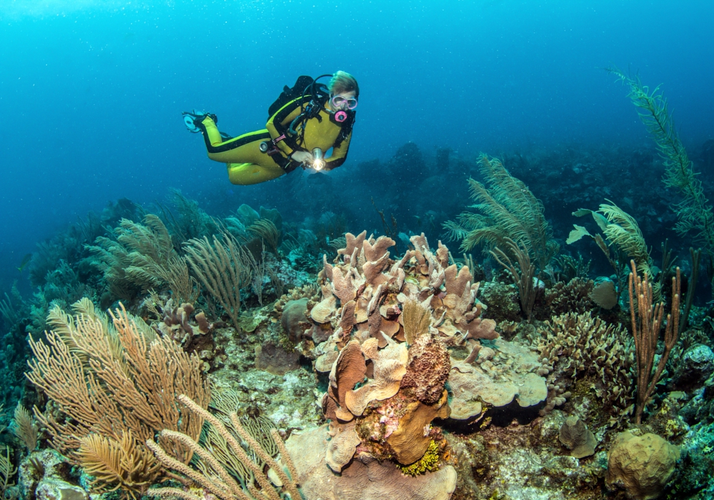 Day 12 - Ambergris Caye