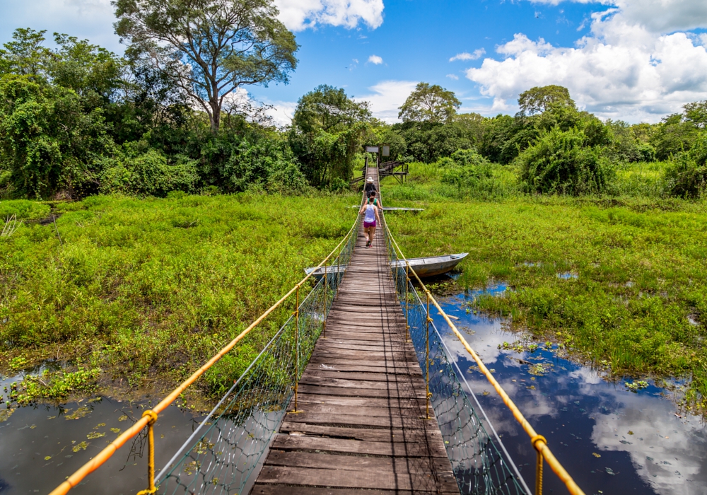 Day 12 - Caiman Lodge