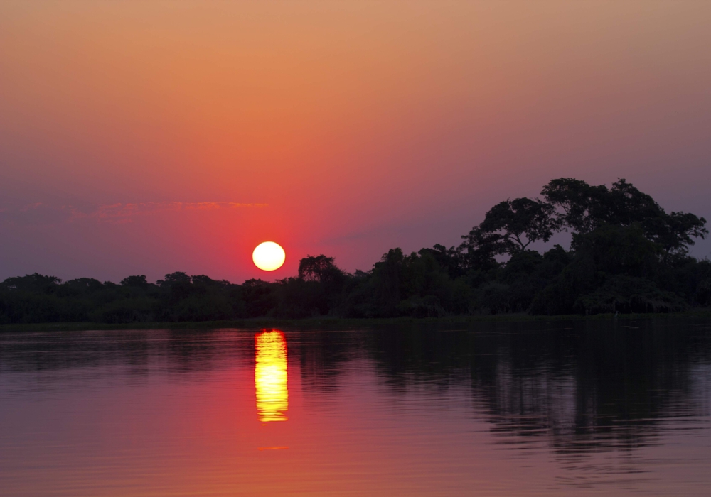 Day 12 - Caiman Lodge