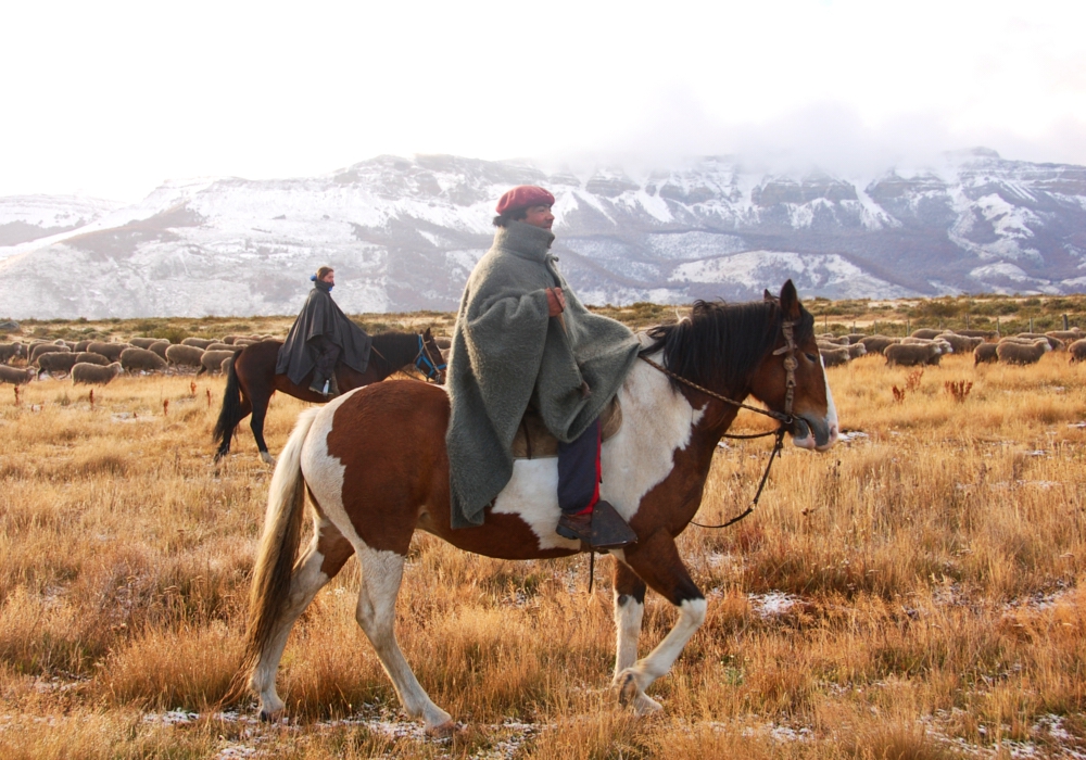 Day 12 - Explora Patagonia