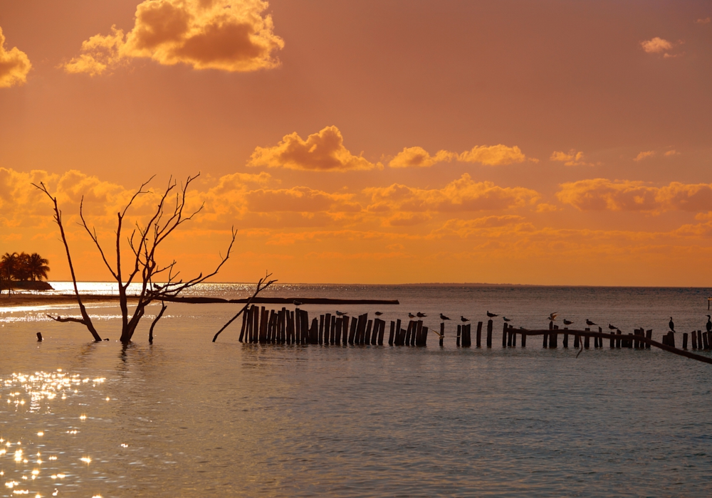 Day 13 - Holbox