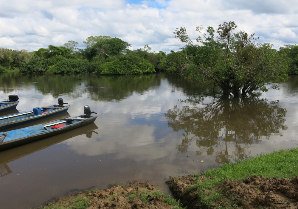 DAY 12 - Rio Yacuma