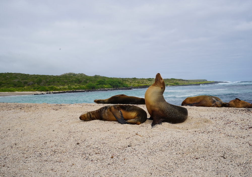 Day 12 - Santa Cruz Island