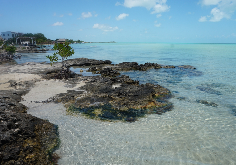 Day 13 - Ambergris Caye