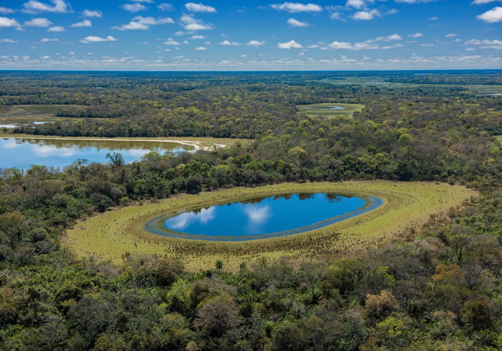 Day 13 - Belem - Cuiaba - Pantanal