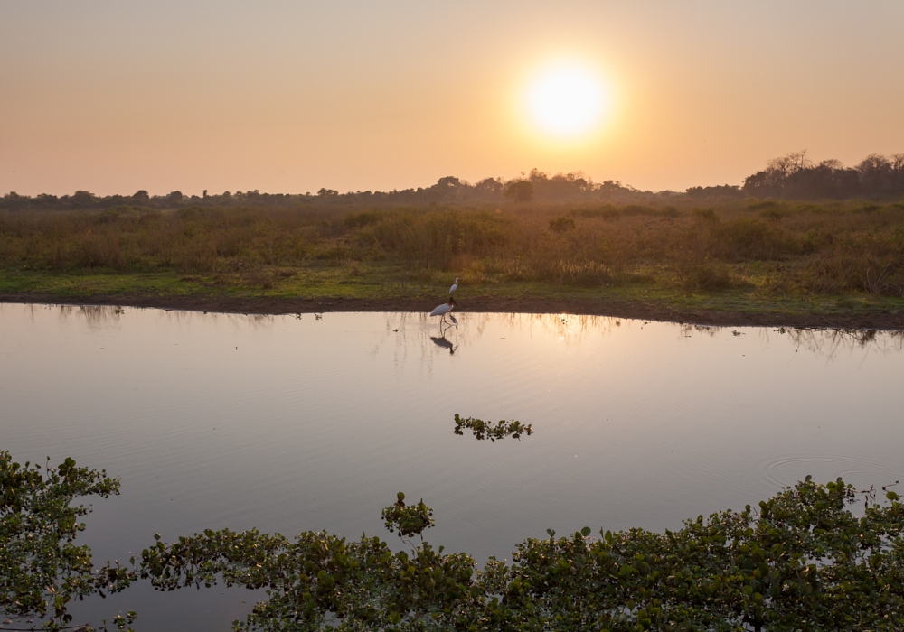 Day 13 - Belem - Cuiaba - Pantanal