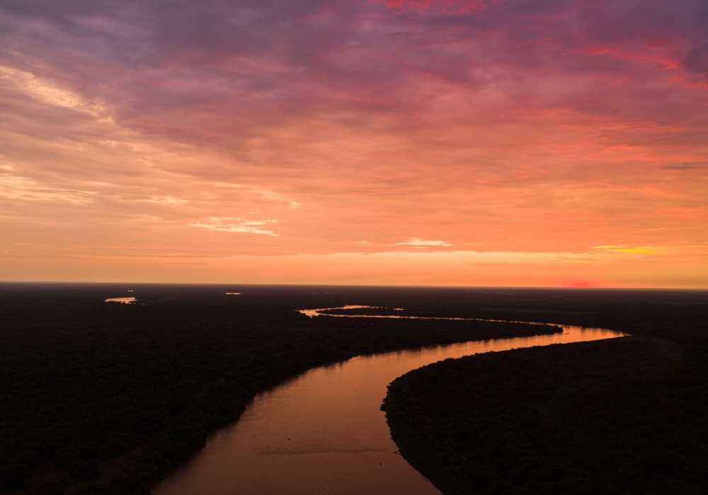 Day 13 - Belem - Cuiaba - Pantanal