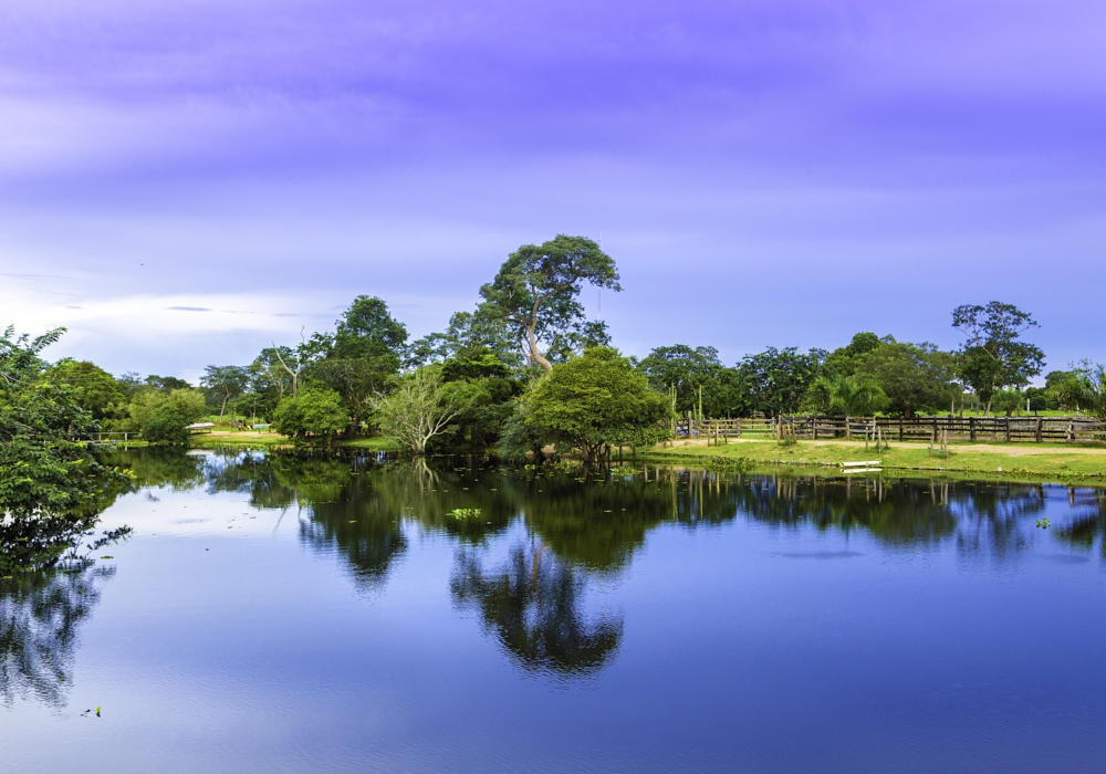 Day 13 - Caiman Lodge - Rio De Janeiro