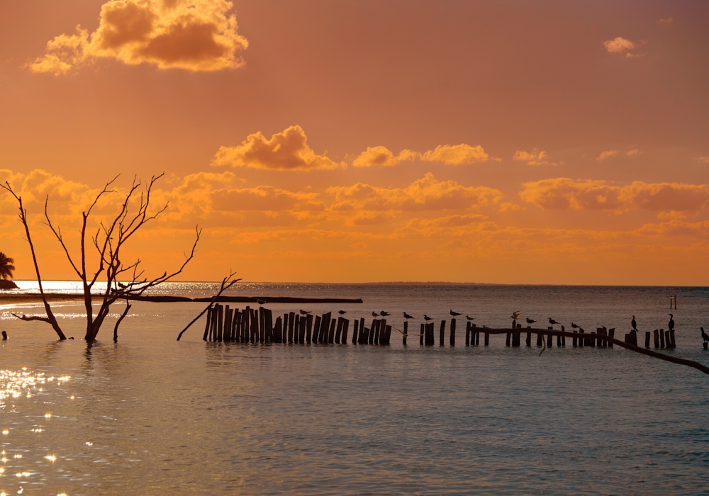 Day 13 -  Holbox