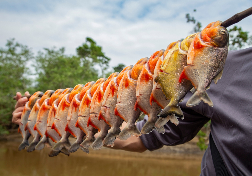 Day 13 - Rio Yacuma