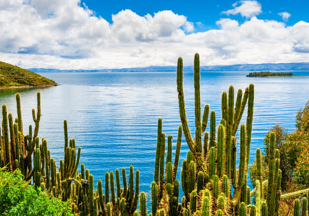 DAY 14 - La Paz – Puno